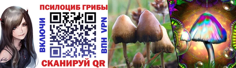 Галлюциногенные грибы прущие грибы  Севастополь 